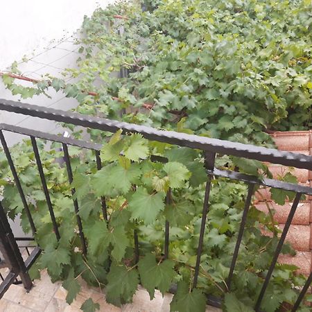 Melon-1, Murter, House For Rest Экстерьер фото
